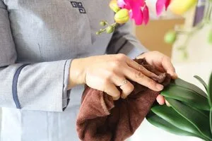 深圳學(xué)校醫(yī)院保潔消毒標(biāo)準(zhǔn)全解析：專業(yè)清潔守護健康安全